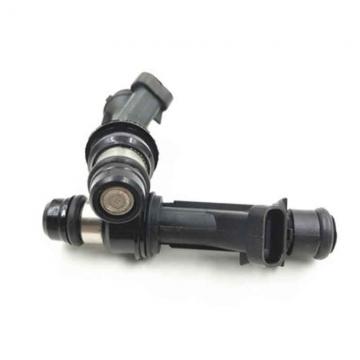 BOSCH 0445110191  injector